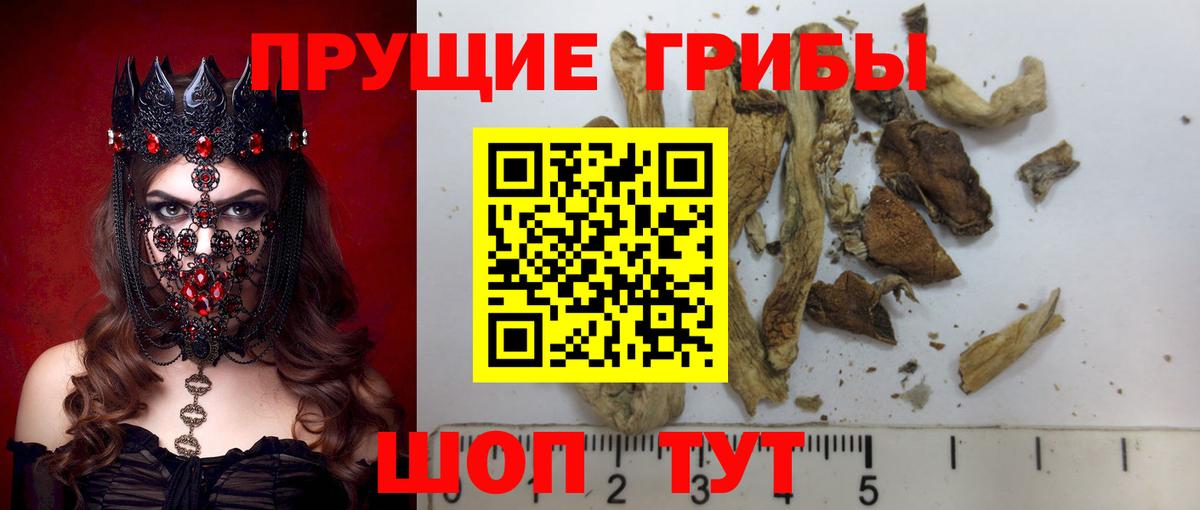 Галлюциногенные грибы мицелий Холмск